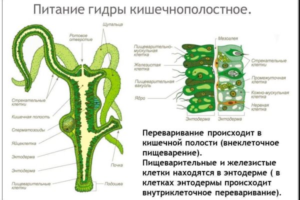 Как открыть кракен