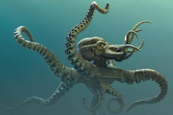 Ссылки зеркала на kraken