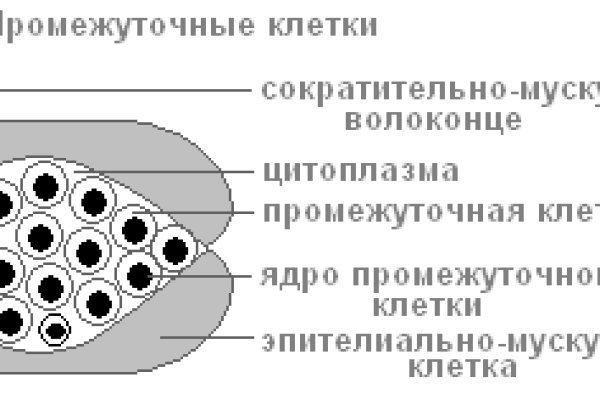 Кракен как войти через тор