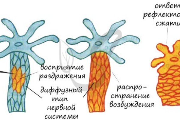 Кракен дарк