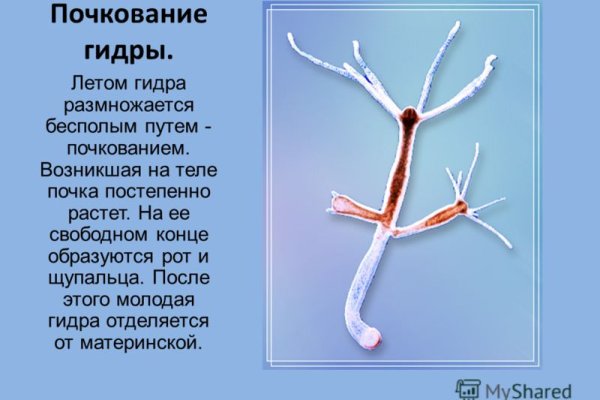 Кракен перестал работать