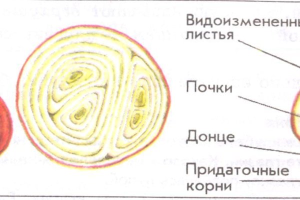 Кракен оригинальная ссылка для тор